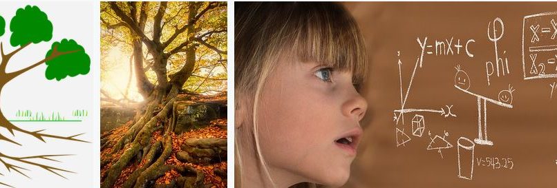 How to enhance English Speaking skills in three months?